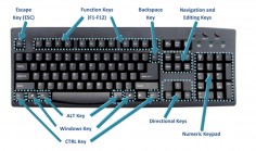 Shortcut Keyboard Keys Of MS Word, Excel, Chrome