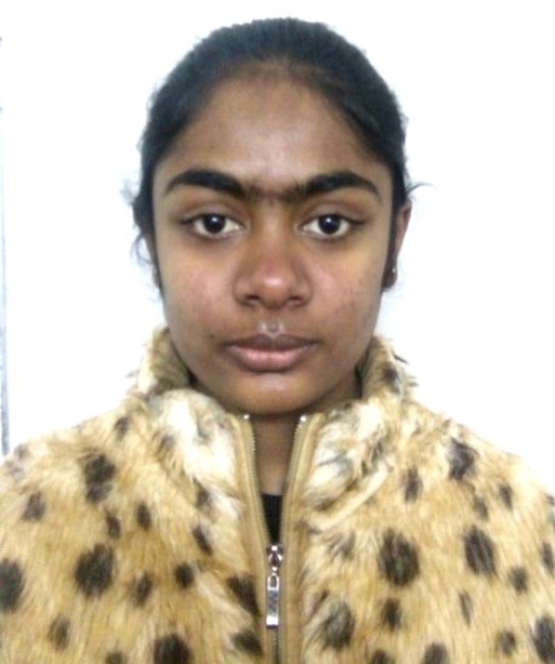 Basic MS Office in Dehradun