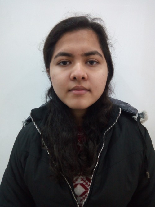 Basic MS Office in Dehradun